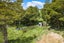 698 Wharehine Road, Wharehine, Wellsford - Carousel 27