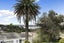 40 Ngake Street, Orakei, Auckland - Carousel 2