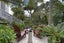 80 Vermont Street, Ponsonby, Auckland - Carousel 6
