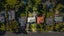 12 Ragley Street, Titirangi, Auckland - Carousel 3