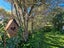970 Rings Road, Coromandel, Coromandel - Carousel 4