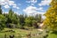 233 LETTS GULLY RD, GALLOWAY, ALEXANDRA - Carousel 27