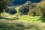 112 Green Island Bush Road, Blackhead, Dunedin - Carousel 34