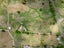 72 Campbell Road, Tokoroa, South Waikato, Waikato - Carousel 23