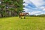 103 Wilson Road, Wellsford, Wellsford - Carousel 25