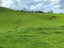 23 Mairoa Road, Piopio, Piopio - Carousel 3