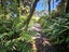 1849 Coast Road, Barrytown, Greymouth - Carousel 3