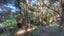 0 Akerama Road, Hukerenui, Hikurangi - Carousel 33
