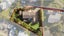 34 Freya Place, Torbay, Auckland - Carousel 1