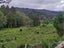 0 Peria Road, Peria, Kaitaia - Carousel 9