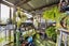 77 Patu-Kukupa Street, Manaia, Manaia - Carousel 25