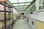 82 Farnham Street, Mornington, Wellington - Carousel 14