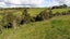 33 Old Kaimai Road, Lower Kaimai, Tauranga - Carousel 18