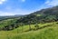 225D Woodland Road, Tahawai, Katikati - Carousel 40