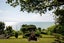 270 Thames Coast Sh25 Road, NGARIMU BAY, THAMES - Carousel 2