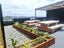 620A/20 Park Avenue, Ellerslie, Auckland City, Auckland - Carousel 11