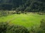 3352 Ahaura-Kopara Road, Totara Flat, Ahaura - Carousel 26