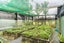 2320 State Highway 1, Whangarei - Carousel 7