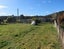 7 Main Street, Reefton, Buller, West Coast - Carousel 2