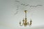 81 Cannington Road, Maori Hill, Dunedin - Carousel 17