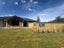 33 Holmes Road, Methven, Methven - Carousel 3