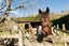 0 State Highway 50 - Carousel 19