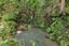 0 Whananaki Road, Whananaki, Hikurangi - Carousel 13