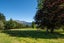 5045 State Highway 63, Wairau Valley, Blenheim - Carousel 39
