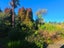18 Terrace Street, Marton - Carousel 33
