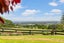 294 Razorback Road, Pokeno - Carousel 8
