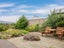18 Rivers Street, Alexandra, Alexandra - Carousel 25