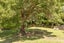 436 Jacksons Line, Mauriceville, Masterton - Carousel 9