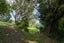 99 Rapata Road, Ōakura, Hikurangi - Carousel 27