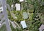 75 Salford Street, Newlands, Wellington - Carousel 23
