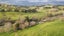 1772 Porangahau Road, Wanstead, Waipukurau - Carousel 38