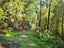 0 State Highway 6, Barrytown, Greymouth - Carousel 9