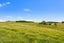 1265 Babylon Coast Road, Dargaville, Kaipara, Northland - Carousel 34