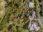37 Rarere Terrace, Kerikeri, Far North, Northland - Carousel 7