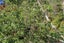 81 Otira Highway, Kumara Junction, Kumara - Carousel 50