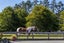 883 Peak Road, Helensville, Helensville - Carousel 8