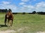 601 Ridge Road, Christchurch - Carousel 31