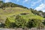 45 Mountain View Road, Hikurangi, Hikurangi - Carousel 24