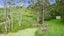 127 Dimmock Road, Pokeno - Carousel 8