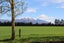 282 Back Track, Rakaia - Carousel 28