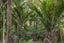 700 Colville Road, Amodeo Bay, Coromandel - Carousel 25