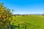 208 Kukutauaki Road, Levin - Carousel 15