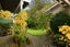 3 Solly Place, Springfield, Rotorua - Carousel 23