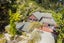 1222 Akatarawa Road, Akatarawa, Upper Hutt - Carousel 23