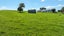 2220 State Highway 1, Putaruru - Carousel 19