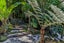 74 Wood Bay Road, Titirangi, Auckland - Carousel 24